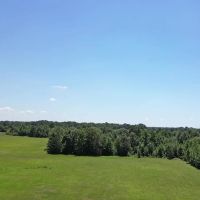 40.33 Acres Undeveloped Land De Kalb TX Bowie County images 2