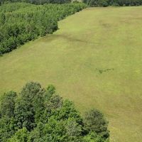 40.33 Acres Undeveloped Land De Kalb TX Bowie County images 3
