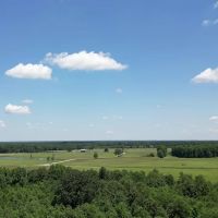 40.33 Acres Undeveloped Land De Kalb TX Bowie County images 5