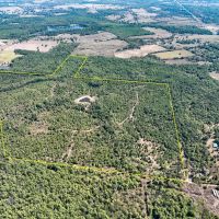 164 Acres Murray Lane images 2