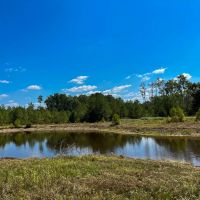 164 Acres Murray Lane images 4