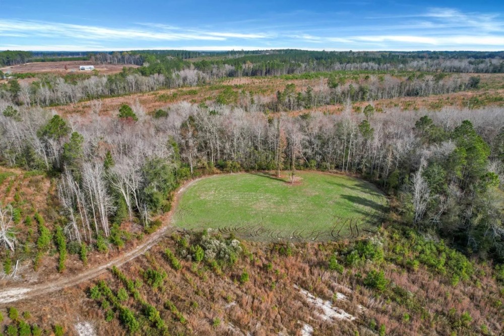Wilderness Retreat Prime Timberland and Hunting Oasis featured image