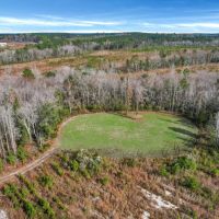 Wilderness Retreat Prime Timberland and Hunting Oasis