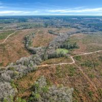 Wilderness Retreat Prime Timberland and Hunting Oasis images 2