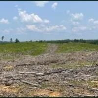 154.92 Acres in Grenada County in Coffeeville MS images 3