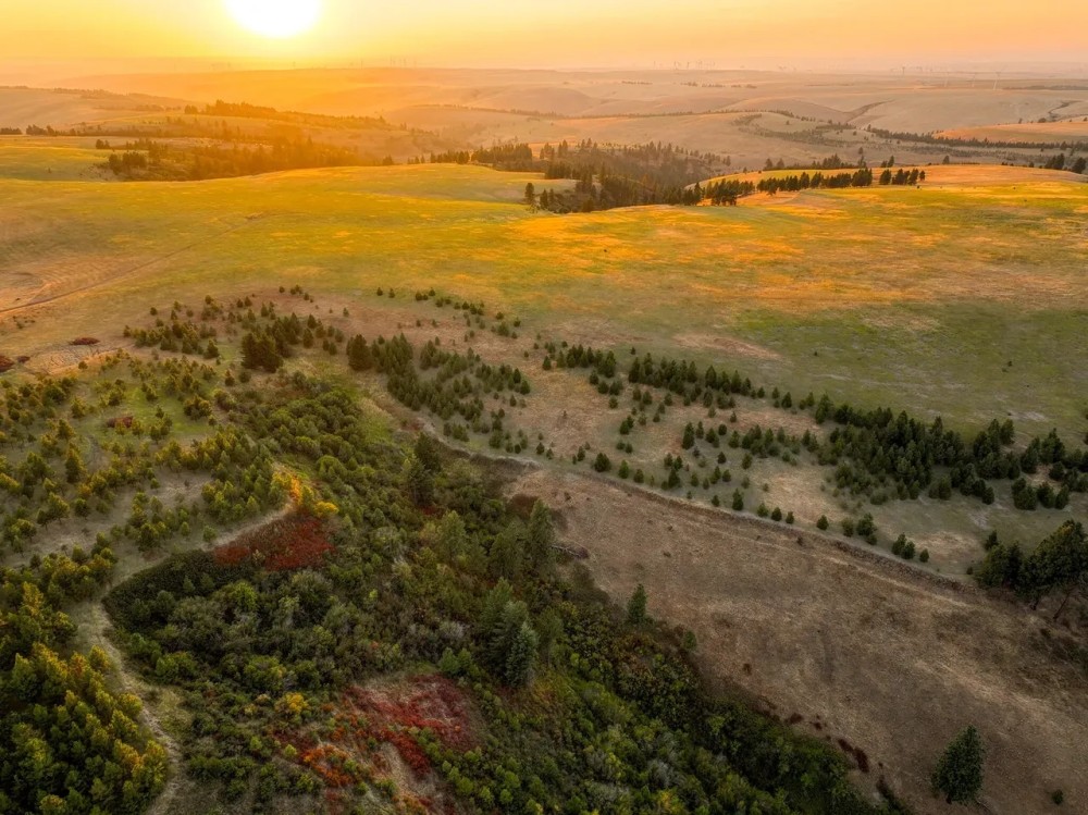 Patit Creek Ranch featured image
