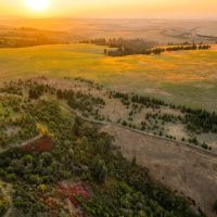 Patit Creek Ranch