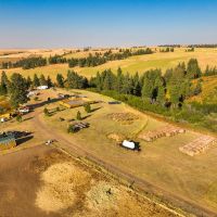Patit Creek Ranch images 5