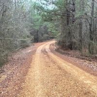 The Perfect Hunting and Timber Investment images 3