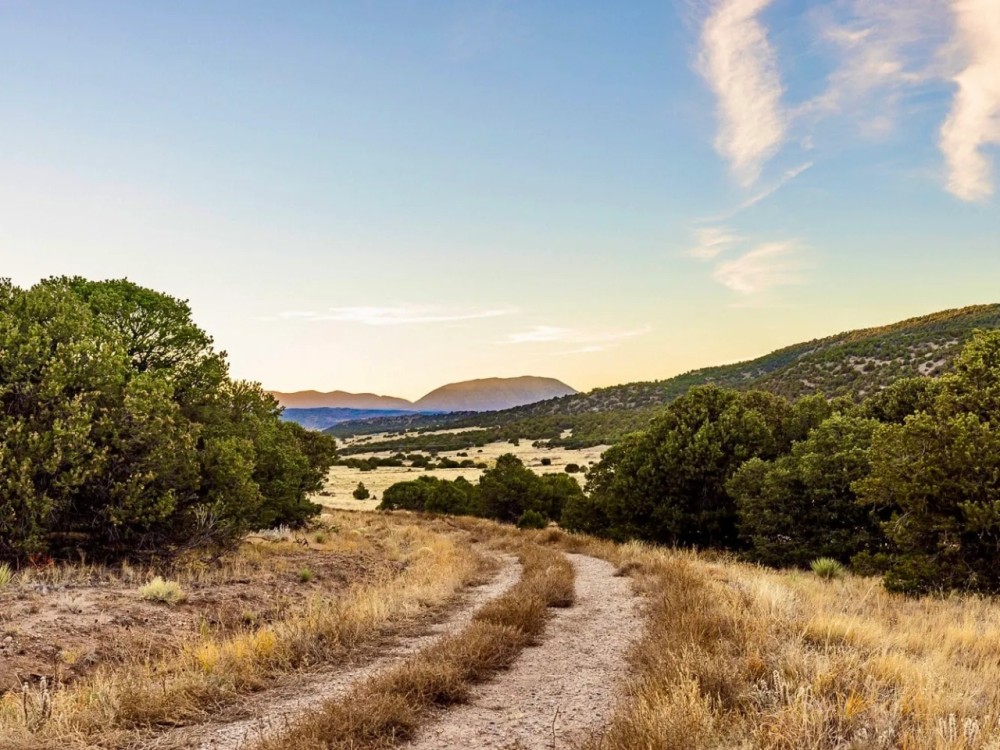 IMN Heaven Ranch featured image