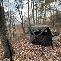 18.06 -Unrestricted acres of beautiful mountain property images 4