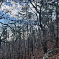 18.06 -Unrestricted acres of beautiful mountain property images 5