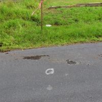 Mount Willow Road images 3
