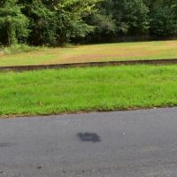 Mount Willow Road images 4