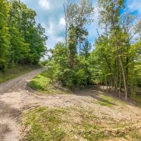 Auction - 33.44 Acres - Harrison County images 5