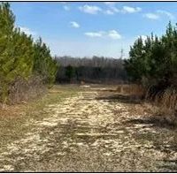 165 Acres in Scott County in Forest MS images 3