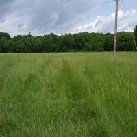 Land for sale near Batesville IN. images 3