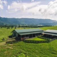 Stunning Cattle Ranch For Sale in Southwest VA images 4