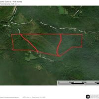 Brown Rd. Fayette County - 178 acres images 2