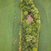 Newland 30 images 4