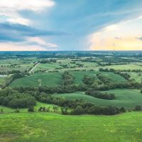 Newland 30 images 5