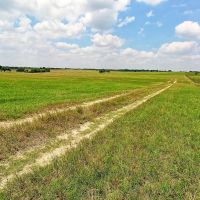 170 acres Dubina-Weimar Rd Weimar TX 78962 images 3