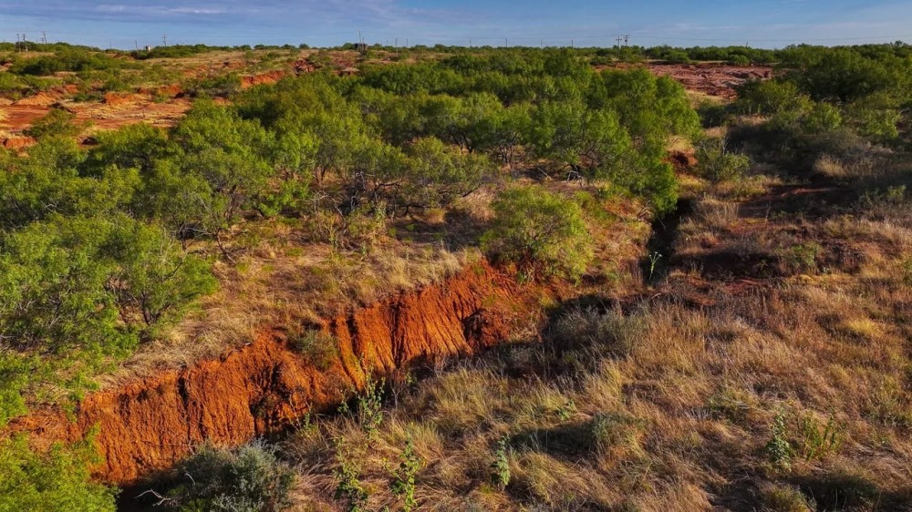 RS 61770 - 376 ac PRIME HUNTING LAND - Electra TX 76360 featured image