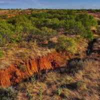 RS 61770 - 376 ac PRIME HUNTING LAND - Electra TX 76360