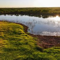 RS 61770 - 376 ac PRIME HUNTING LAND - Electra TX 76360 images 2