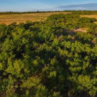 RS 61770 - 376 ac PRIME HUNTING LAND - Electra TX 76360 images 4