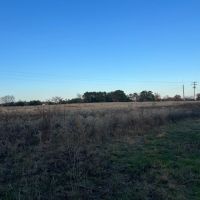 Pasture Land for Sale Quitman TX Near Lake Fork images 2