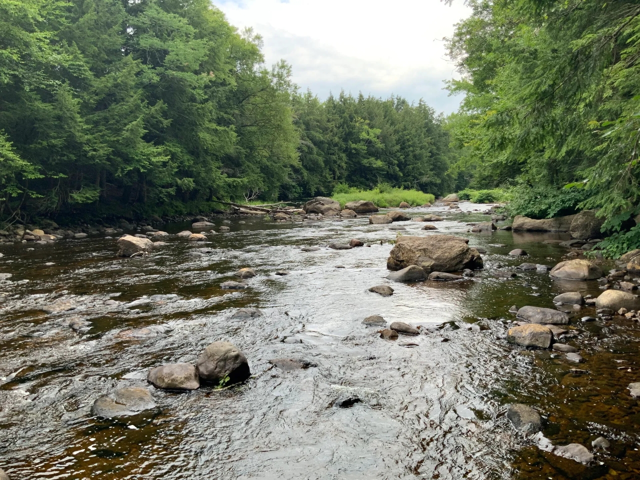 82 acre Adirondack Creekfront Land Stratford NY Hunting Land for Sale