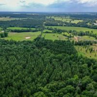 15.573 Ac CR 1050 Houston County TX images 2