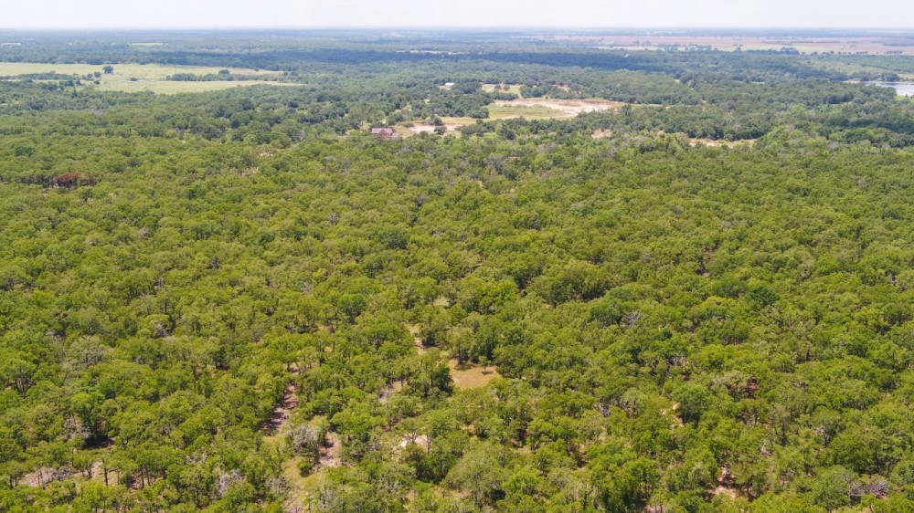 10 Acres in Milam County - Tract 14 featured image
