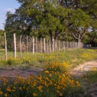 Bluff Springs Estates - Lot 6 images 5