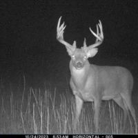 Grundy Whitetails 81