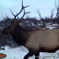 Green Mountain Ranch