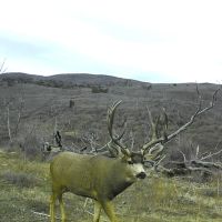 Green Mountain Ranch images 3