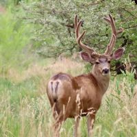 Green Mountain Ranch images 5