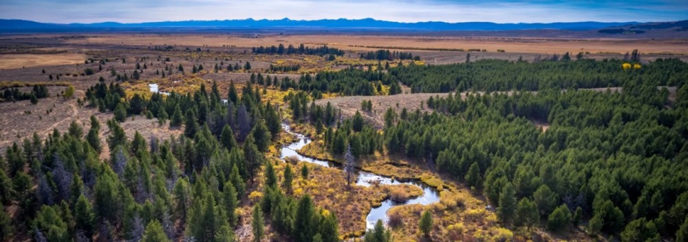Arrow Ranch featured image