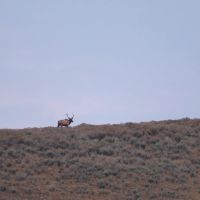 Arrow Ranch images 4