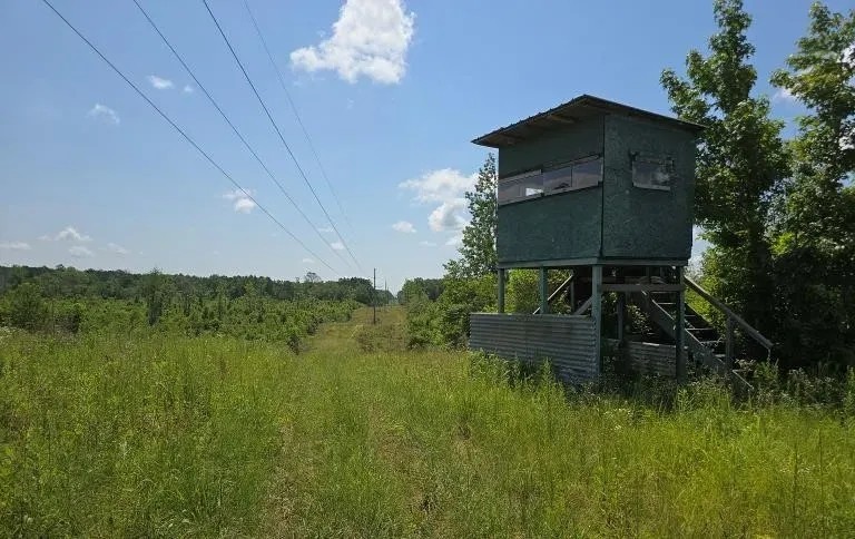115 Acres in Franklin County in McCall Creek MS featured image