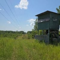 115 Acres in Franklin County in McCall Creek MS