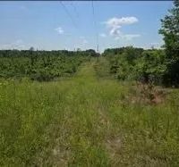 115 Acres in Franklin County in McCall Creek MS images 2
