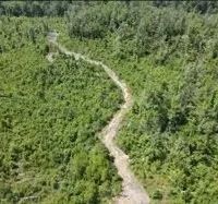 115 Acres in Franklin County in McCall Creek MS images 4