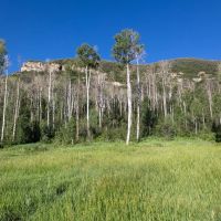 Black Cat at 480 Ranch images 2