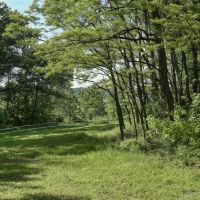 Located in Western Jackson County WI this 23.55 acres images 5