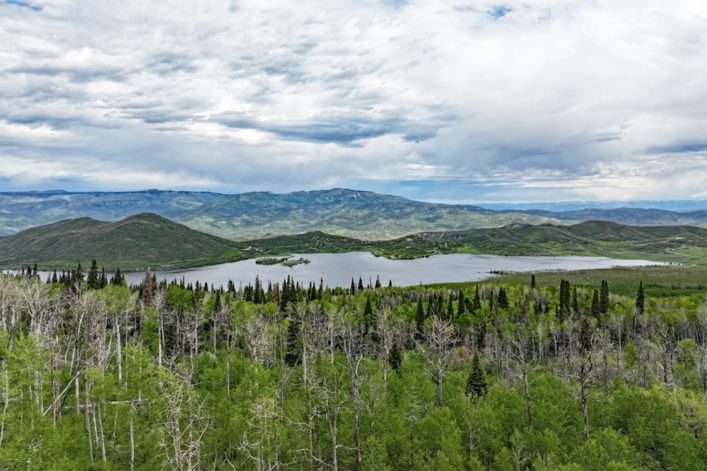 Mountain Property With Lake Views GMU 421 featured image