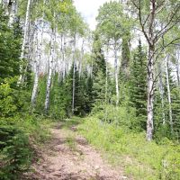 Mountain Property With Lake Views GMU 421 images 4