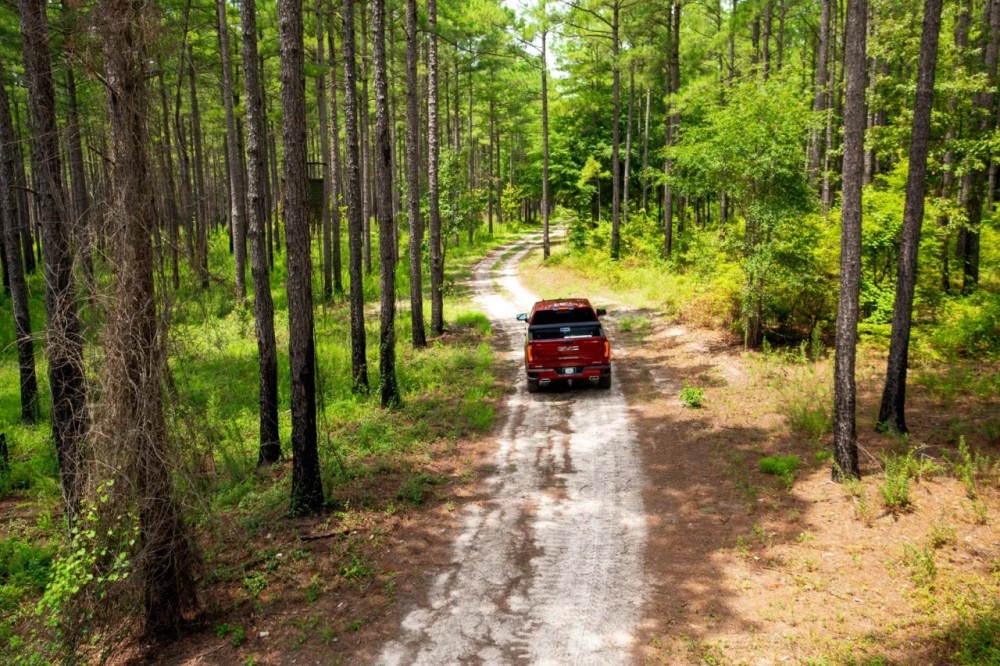 Old Hall Plantation - Beautiful Riverfront Property featured image